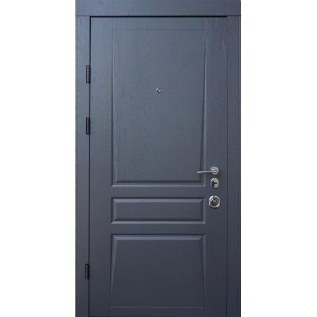 Вхідні двері Qdoors Авангард Тріно 